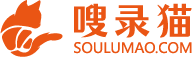 嗖录猫_官方网站_资源收录平台领跑者
